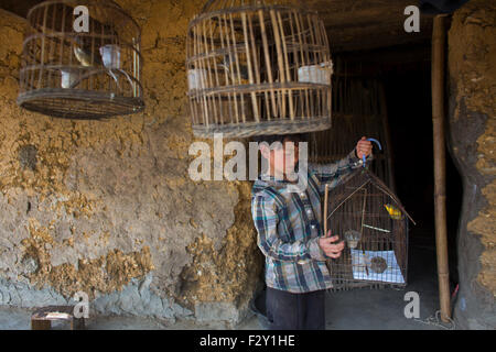 Chaque chambre dispose d'une vietnamienne d'oiseaux chanteurs Banque D'Images