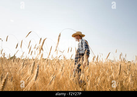 Homme portant une chemise à carreaux et un chapeau debout dans un champ de maïs, un agriculteur. Banque D'Images