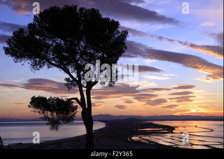 Coucher du soleil à partir de l'état des forêts Pierres blanches, le Mont Saint Clair, Sète, Languedoc-Roussillon, France Banque D'Images