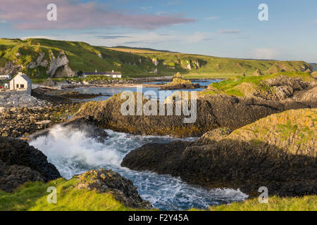 Tôt le matin sur les rochers surplombant Ballintoy, comté d'Antrim, en Irlande du Nord, Royaume-Uni Banque D'Images