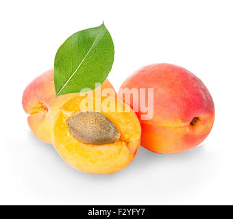 Abricots isolé sur un fond blanc. Banque D'Images