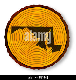 Site du Maryland sur une section à l'extrémité du bois sur un fond blanc Banque D'Images