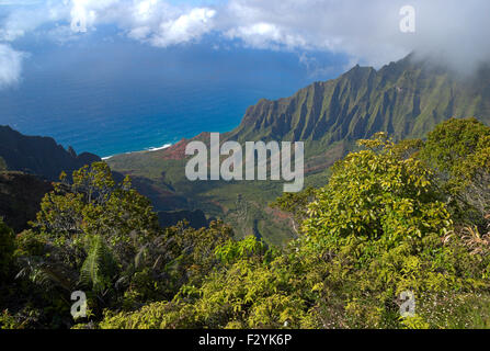 Vue de la vallée Kalalau sur Kauai, Hawaii Banque D'Images