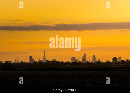 Londres, Royaume-Uni. 25 Septembre, 2015. Les toits de Londres capturés dans Hainult dans l'Essex, au coucher du soleil. Crédit : Paul Davey/Alamy Live News Banque D'Images