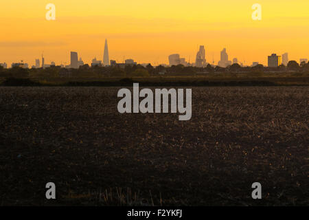 Londres, Royaume-Uni. 25 Septembre, 2015. Les toits de Londres capturés dans Hainult dans l'Essex, au coucher du soleil. Crédit : Paul Davey/Alamy Live News Banque D'Images