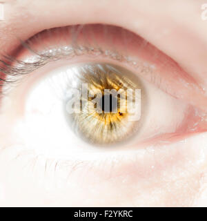 Oeil humain Banque D'Images