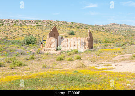 En ruines entre fleurs jaunes sur le toit de Namaqualand sentier entre Skilpad et Soebatsfontein dans le Parc National Namaqua Banque D'Images