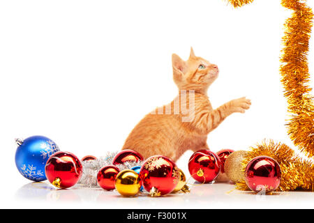 Cute little red kitten Playing with golden près de guirlandes scintillantes et colorées, des jouets de Noël isolé sur fond blanc Banque D'Images