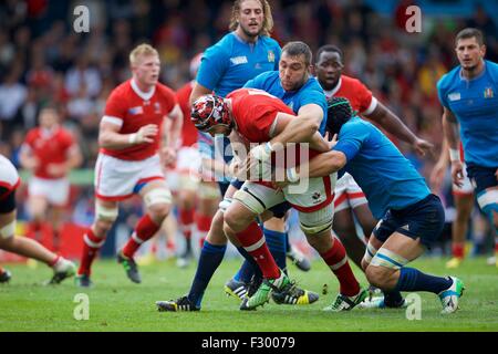 Leeds, UK. 26 Sep, 2015. Coupe du Monde de Rugby. L'Italie contre le Canada. Italie Le demi de mêlée Edoardo Gori. Credit : Action Plus Sport/Alamy Live News Banque D'Images