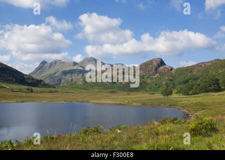 Blea Tarn dans le lake district. Banque D'Images