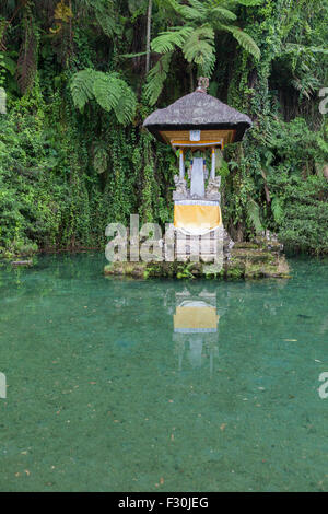 Temple de l'île, à la sainte springs à Pura Gunung Kawi Sebatu temple, Bali, Indonésie Banque D'Images