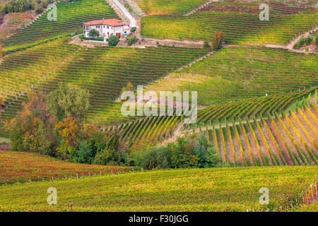 Vignes d'automne colorés sur les collines du Piémont, Italie du Nord. Banque D'Images