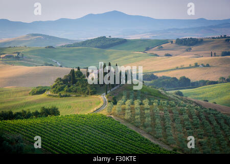 La toscane, tôt le matin dans le Val d'Orcia Banque D'Images