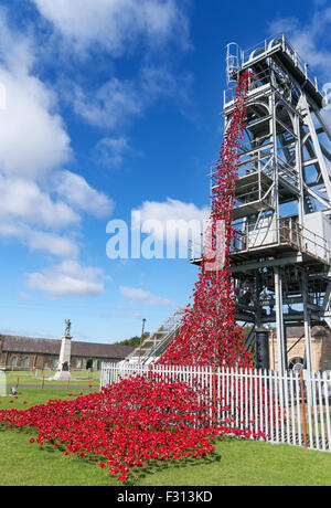 Des pleurs à l'aide de coquelicots en céramique par Paul Cummins et Tom Piper, Woodhorn Colliery, Washington, Northumberland, England, UK Banque D'Images