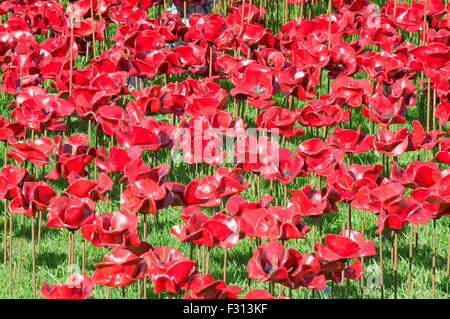 Des pleurs à l'aide de coquelicots en céramique par Paul Cummins et Tom Piper, Woodhorn Colliery, Washington, Northumberland, England, UK Banque D'Images