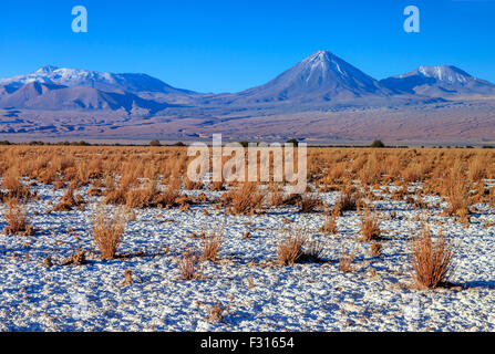 Salar de Atacama et volcan Licancabur en arrière-plan (Chili) Banque D'Images