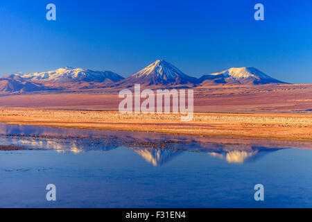 Volcan Licancabur reflété dans Laguna Tebinchinchinche (Atacama, Chili) Banque D'Images