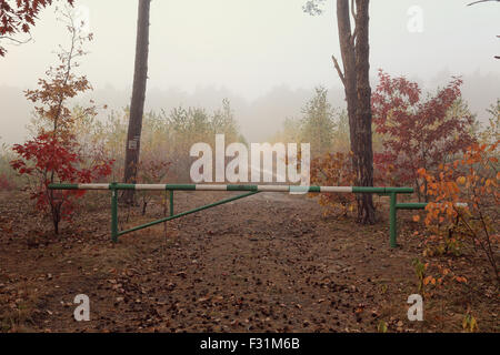 Vue paysage coloré d'automne Banque D'Images