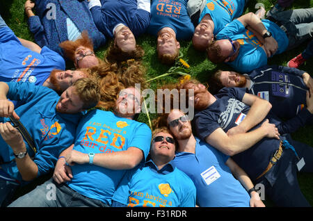 Redhead jours 2015, Breda, Pays-Bas Banque D'Images