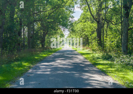 Alley et étroite route de campagne vide, image hdr Banque D'Images