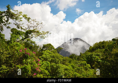 Le pic de l'idéal et les jeunes actif volcan Izalco vu à partir d'un point de vue dans le Parc National de Cerro Verde en El Salvador Banque D'Images