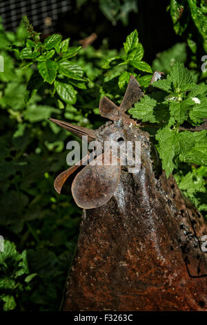 Statue de métal soudé un coquelet dans un jardin Banque D'Images