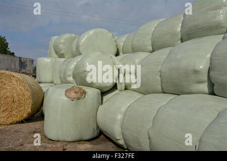 Balles de foin circulaire couvert dans du plastique Banque D'Images