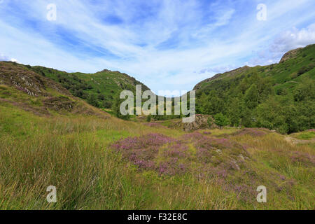 La vallée de Borrowdale Watendlath Cumbria Lake District National Park England UK Banque D'Images