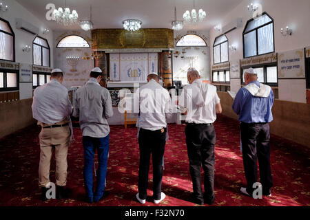 Les Juifs Karaïtes s'inclinant sur les genoux et se prosterner pendant la prière dans une synagogue karaïte dans la ville de Ramle ou Ramleh Israël. Les Juifs Karaïtes qui refuse l'ajout ultérieur de la Bible juive comme la loi orale rabbinique se prosterner comme les musulmans quand ils prient Banque D'Images