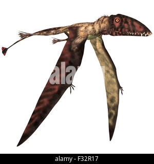 Dimorphodon était un ptérosaure carnivore qui vivait en Angleterre durant la période jurassique. Banque D'Images