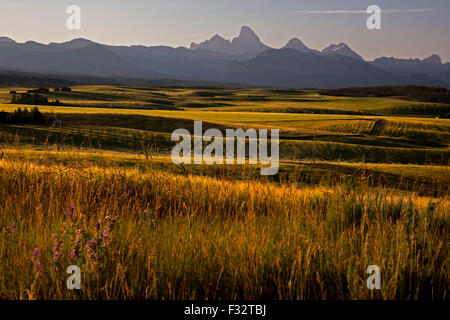 Feutre, Texas - Le Teton mountain range, à partir de la terre agricole dans l'Est de l'Idaho. Banque D'Images