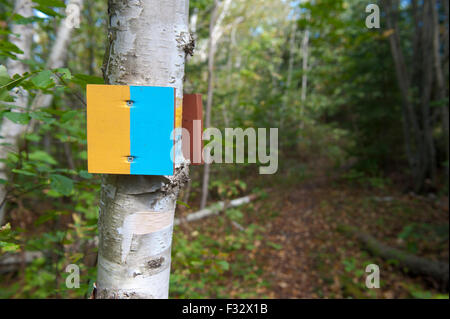 Sentier de randonnée jaune et bleu blaze. Banque D'Images