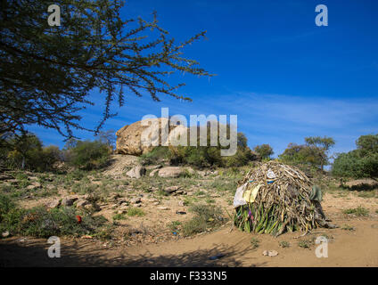 La Tanzanie, Serengeti lac Eyasi, Plateau, tribu hadzabe cases traditionnelles à base de sisal agaves dans un village Banque D'Images