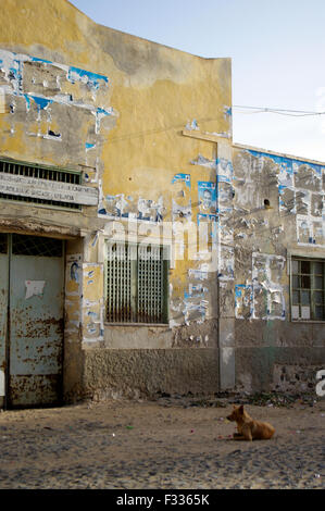 Jaune pastel en ruine maison en ruines avec un chien assis en face d'elle à Boa Vista sur l'île république du Cap-Vert Banque D'Images