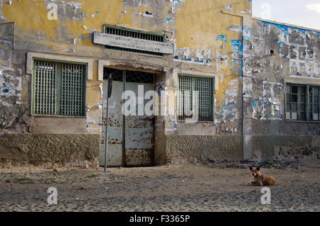 Jaune pastel en ruine maison en ruines avec un chien assis en face d'elle à Boa Vista sur l'île république du Cap-Vert Banque D'Images