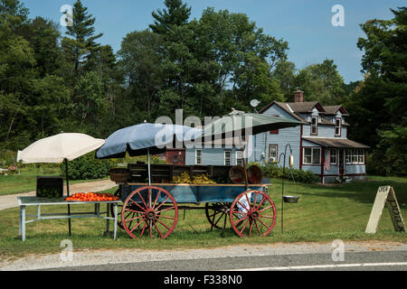 Stockbridge Massachusetts comté de Berkshire, farmer's , Vente Maisons sur Stockbridge Bowl. Banque D'Images