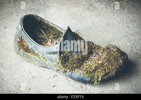 Moss-chaussure cultivés abandonnés Banque D'Images