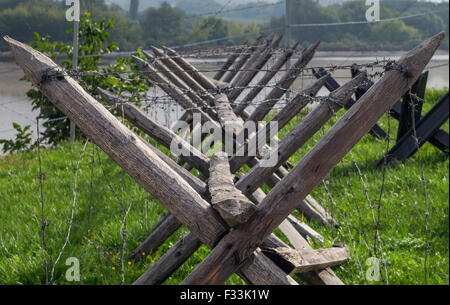 Anti vieux fond d'herbe sur un hérisson Banque D'Images