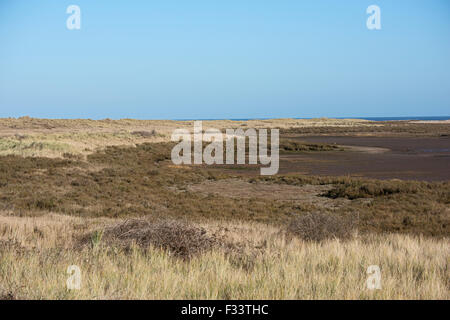 Scolt Head Island North Norfolk hiver Banque D'Images