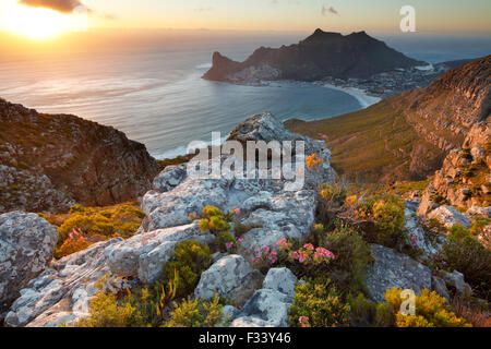 Hout Bay, du Parc National de Table Mountain, Western Cape, Afrique du Sud Banque D'Images