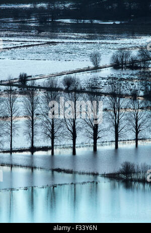 L'inondation nr Muchelney, Somerset, England, UK Banque D'Images