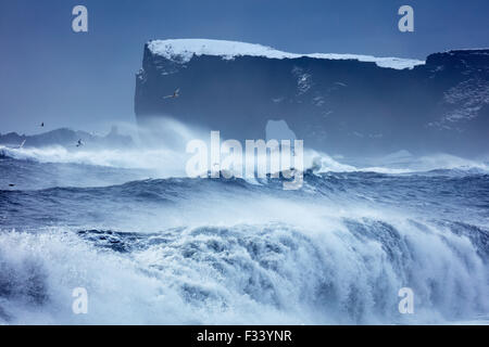 Vagues se brisant sur Dyrhólaey Reynisfjara qui jouit avec au-delà, de l'Islande Banque D'Images