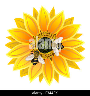 Le tournesol et bee Banque D'Images