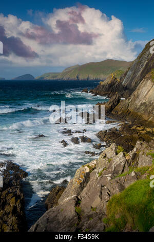 Slea Head avec îles Blasket, au-delà de la péninsule de Dingle, République d'Irlande Banque D'Images