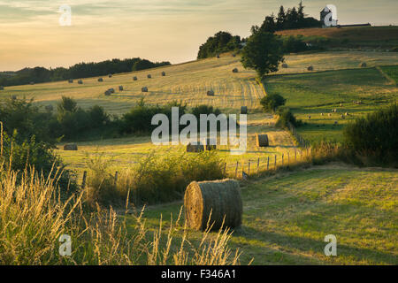 Bottes de foin dans les champs près de Beaumont du Périgord, Pays de Bergerac, Dordogne, Aquitaine, France Banque D'Images