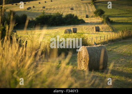 Bottes de foin dans les champs près de Beaumont du Périgord, Pays de Bergerac, Dordogne, Aquitaine, France Banque D'Images