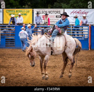 Bareback bronc concurrence, rodéo Philomath, Oregon, USA Banque D'Images