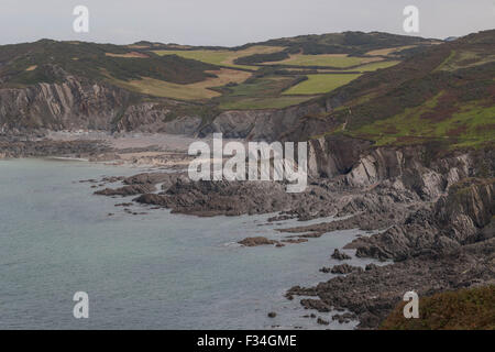 Côte de Bull point, North Devon, West Country, Angleterre, Royaume-Uni. Banque D'Images