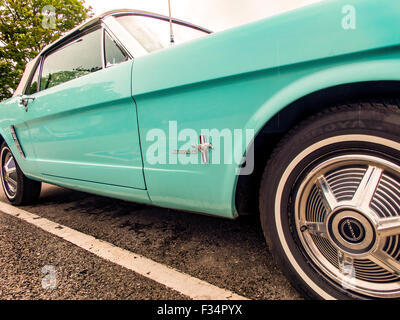 Vers 1965 Robin's egg blue Ford Mustang décapotable. Banque D'Images