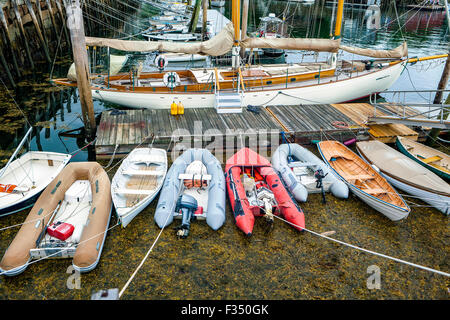 Rockport, Maine dispose d'un petit port où voiliers et canots à attacher. À certains moments de l'année, les algues étouffe les eaux. Banque D'Images